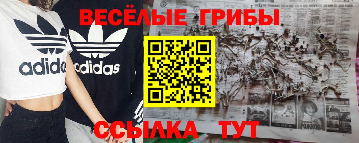 Галлюциногенные грибы прущие грибы  Псилоцибиновые грибы мухоморы  Кимры 