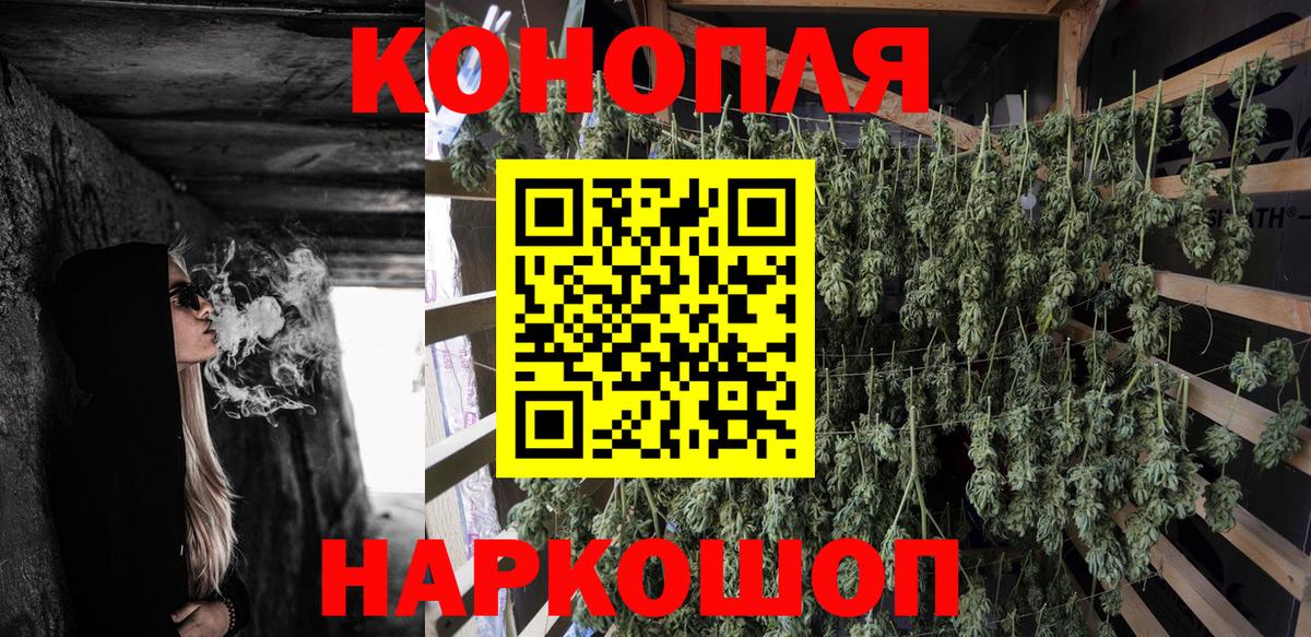 Марихуана сатива Кимры